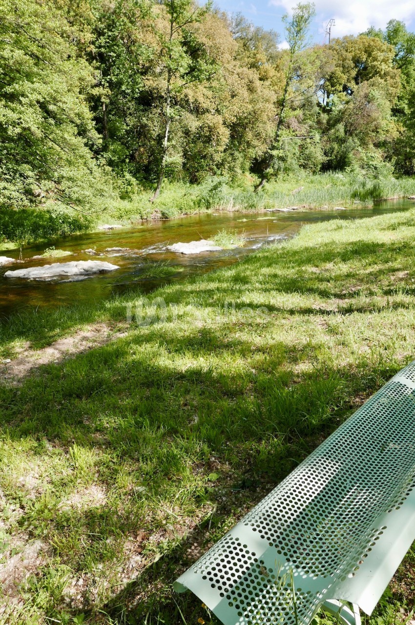 Banc en métal vert installé près d'une rivière entourée de végétation et d'arbres sous un ciel dégagé.
