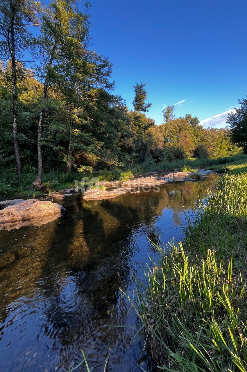 Rivière calme bordée d'herbes et d'arbres sous un ciel bleu dégagé en fin de journée.