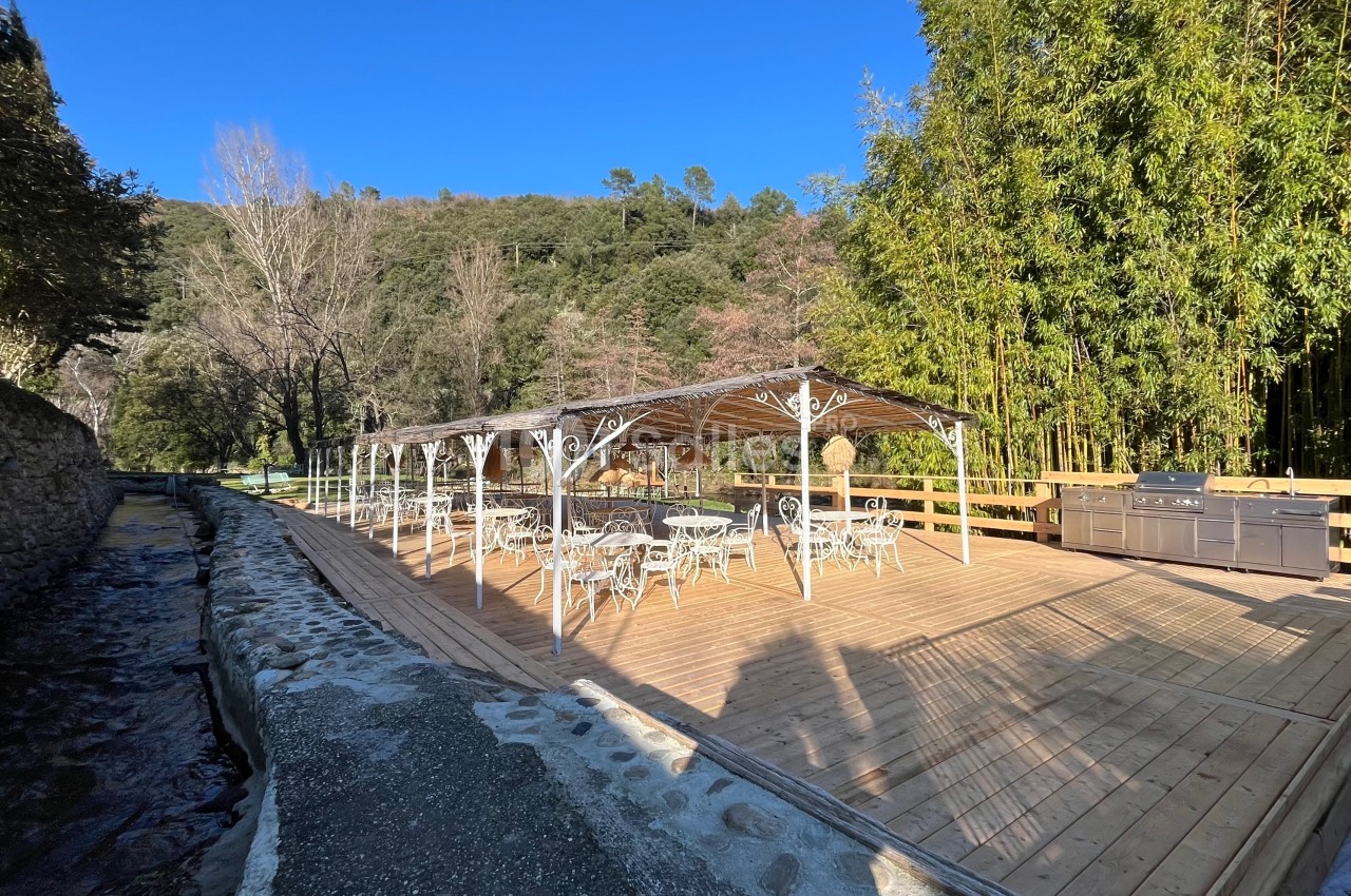 Terrasse en bois avec pergola, tables et chaises, située près d'un ruisseau et entourée de végétation.