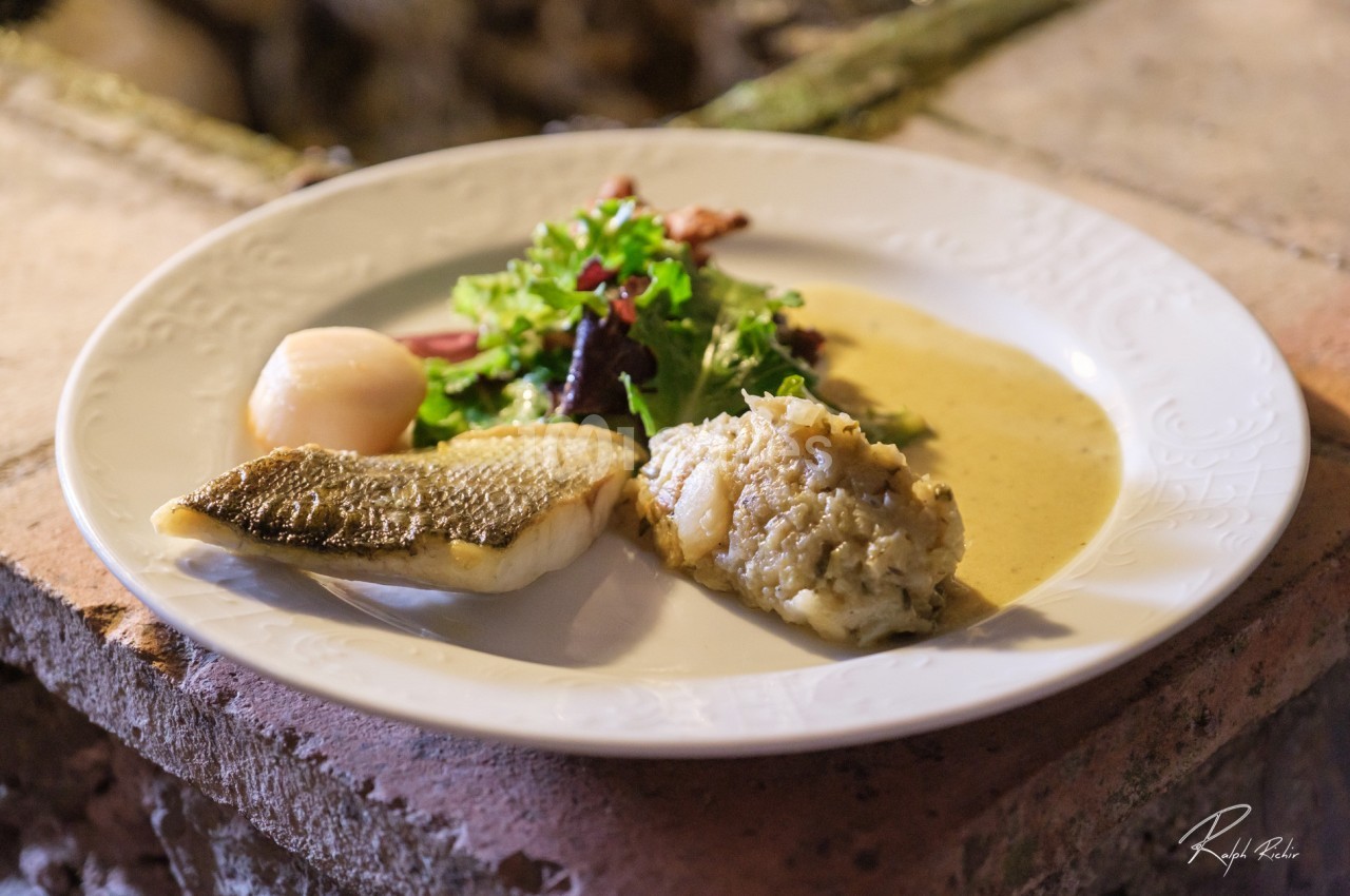 Assiette contenant un filet de poisson, une noix de Saint-Jacques, une purée et une salade verte, servie sur une table…