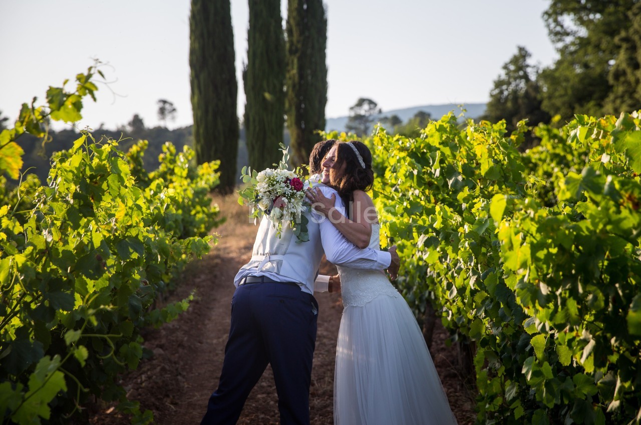 Un couple en tenue de mariage s'embrasse dans un vignoble, entouré de vignes et de cyprès sous une lumière douce.