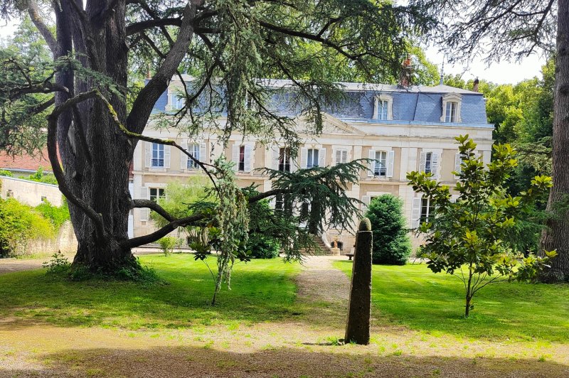 Château du Saulce  - photo 1