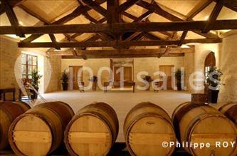 Château Flojague - photo 5