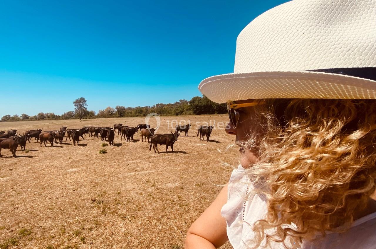 Une femme portant un chapeau blanc observe un troupeau d'animaux dans une prairie sous un ciel dégagé.