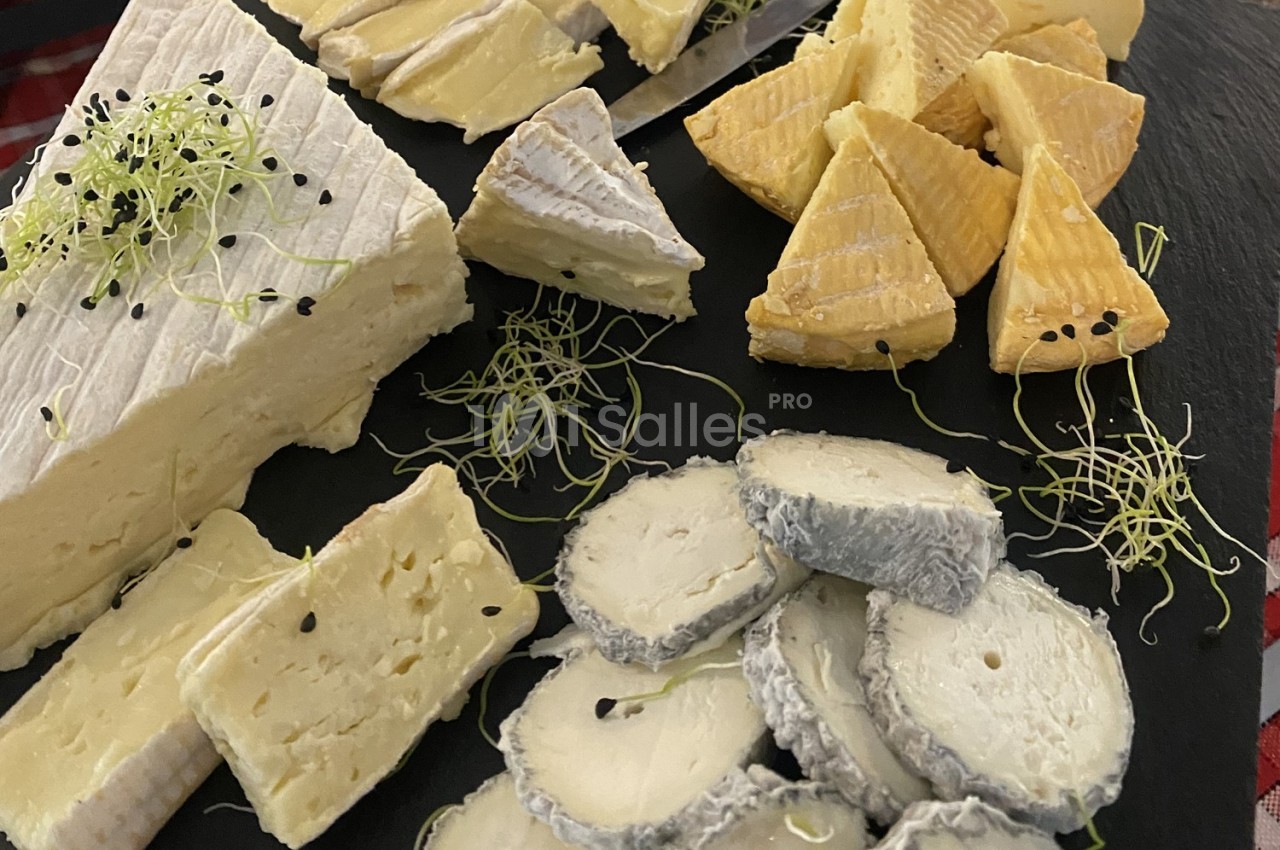 Plateau de fromages variés comprenant brie, chèvre cendré, fromages à pâte molle et décoré de pousses fraîches.