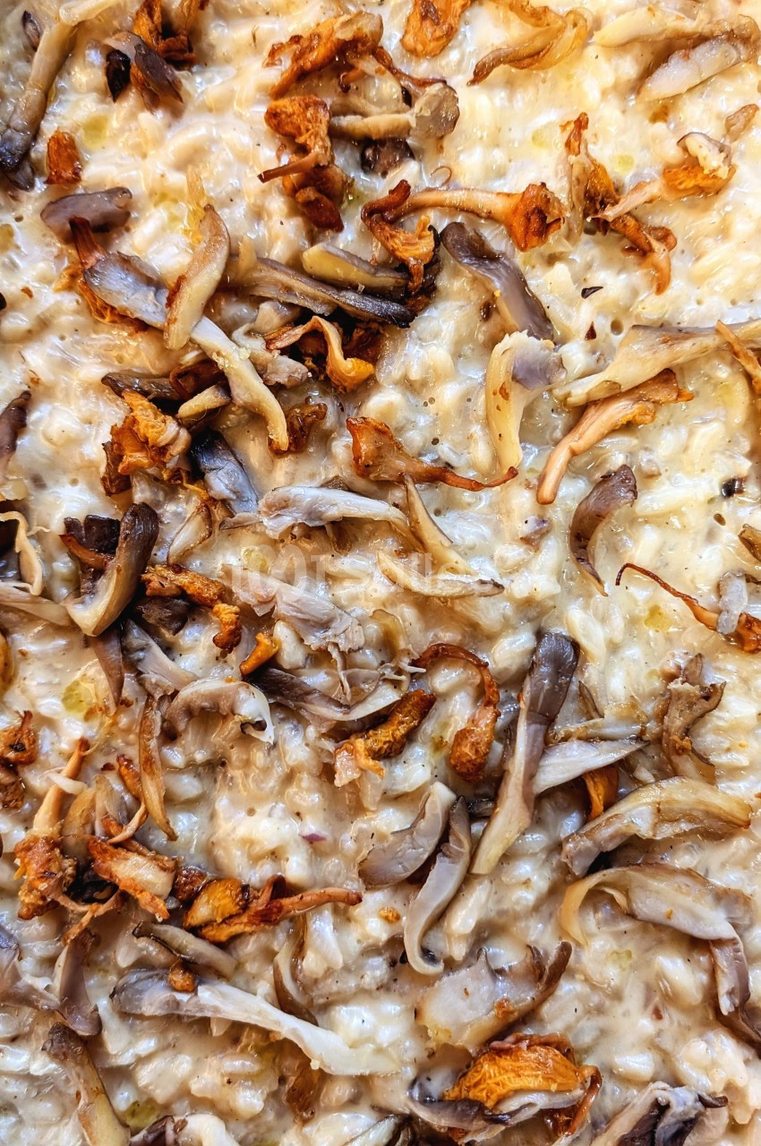 Risotto crémeux garni de champignons sautés dorés et légèrement croustillants.