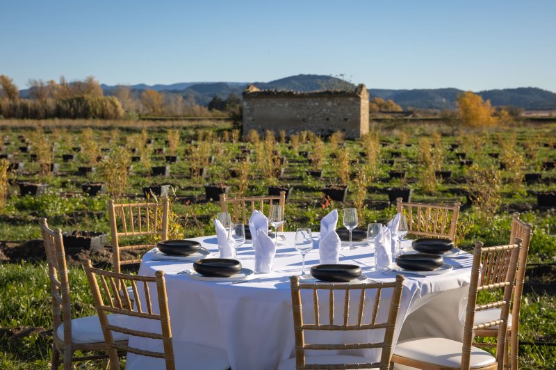 Domaine de la Myrtille - photo 1