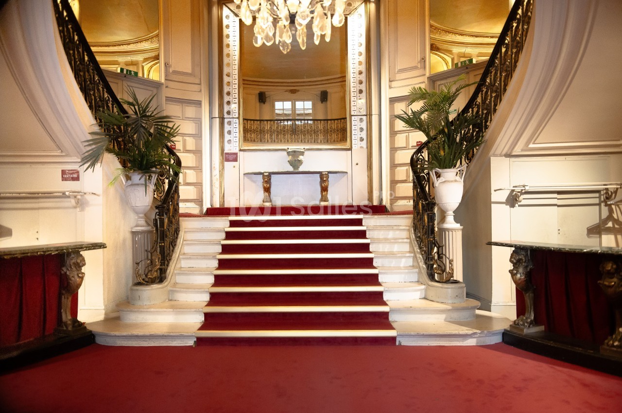 Escalier central avec tapis rouge, entouré de rampes ornées et de plantes, dans un intérieur élégant et lumineux.