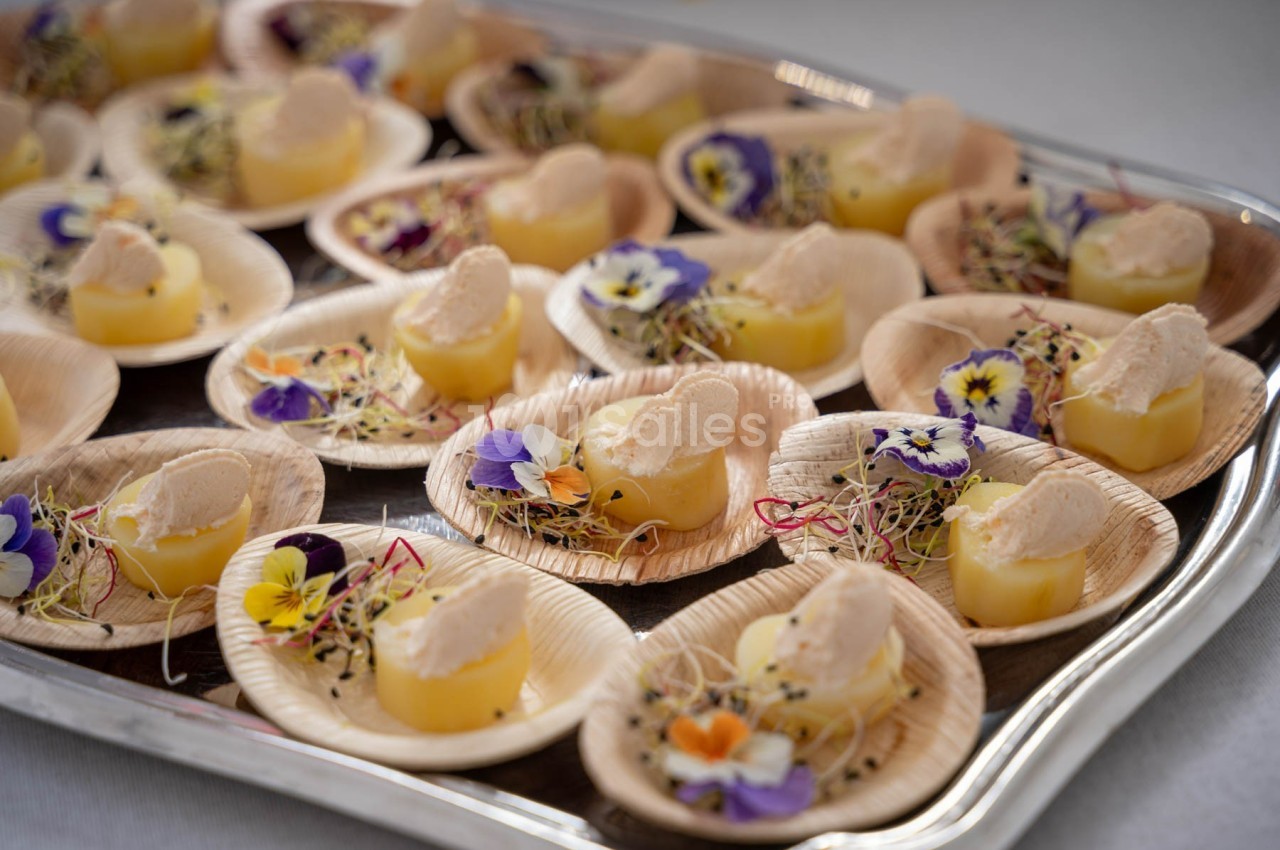Assortiment de bouchées sur des assiettes en bois, décorées de fleurs comestibles et de pousses.