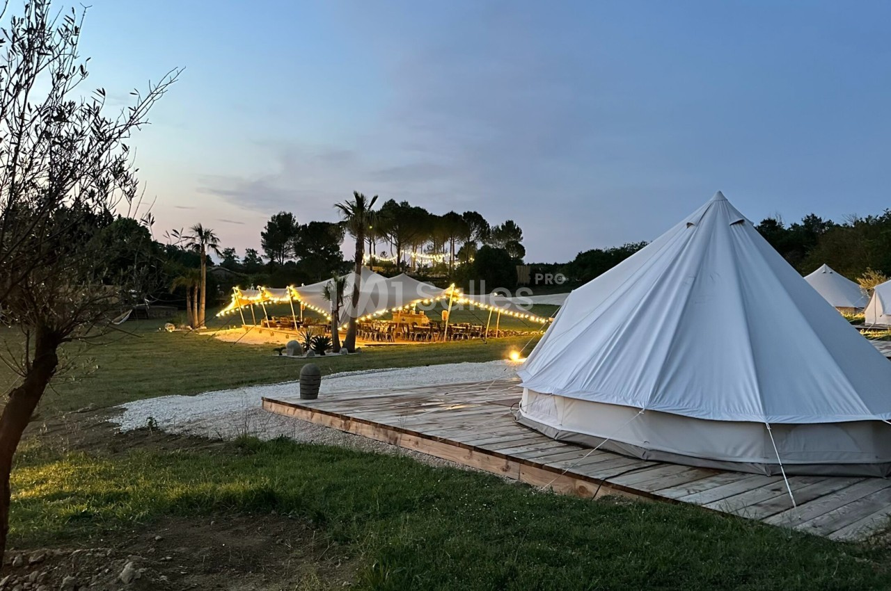 Tentes blanches installées dans un champ au crépuscule, avec des guirlandes lumineuses éclairant un espace de réception.