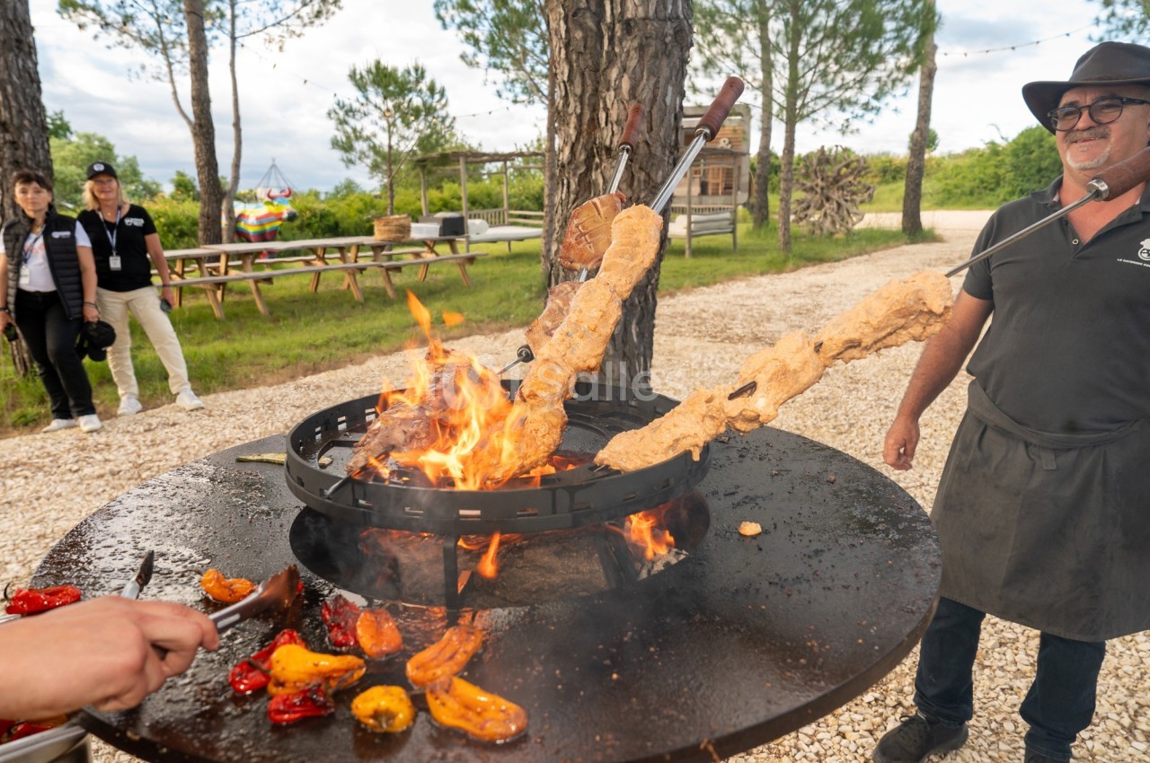 Des brochettes de viande et des légumes grillent sur un feu en plein air, entourés de convives et d'arbres.
