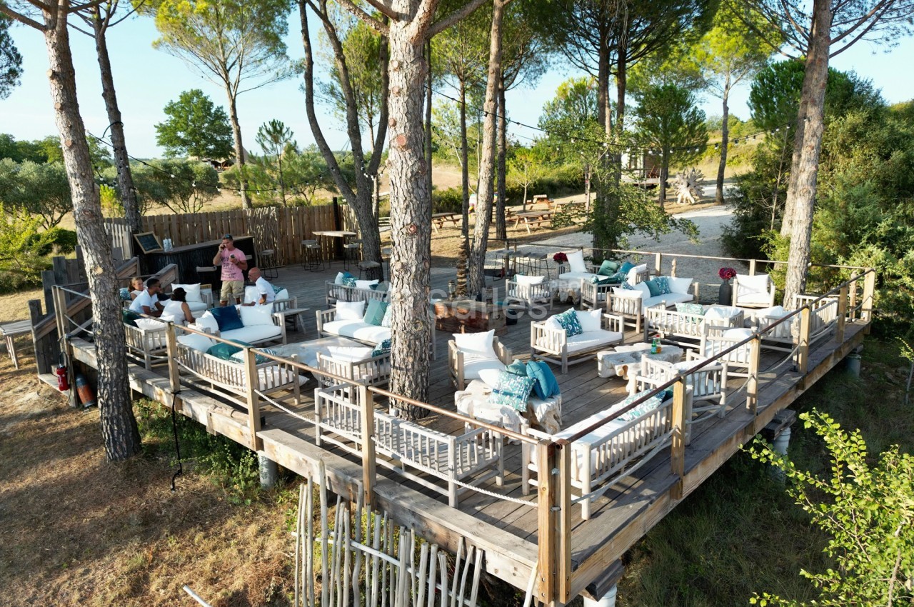 Terrasse en bois surélevée aménagée avec des fauteuils et tables, entourée de pins dans un cadre naturel.