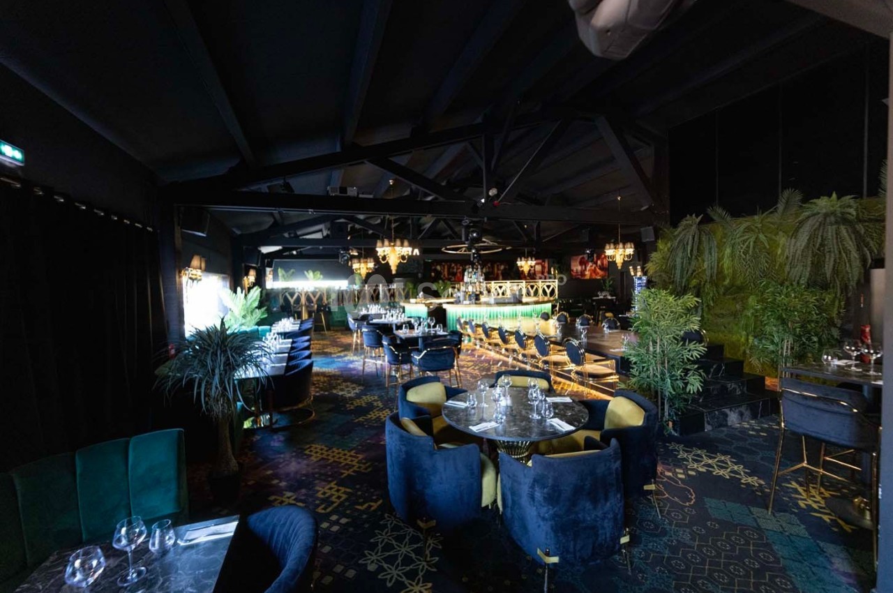Salle de restaurant élégante avec un bar éclairé, des tables dressées, des fauteuils confortables et une décoration végétale.