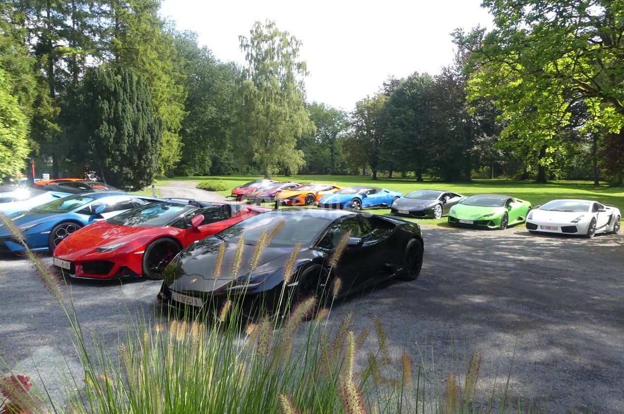 Alignement de voitures de sport colorées stationnées sur une allée bordée de végétation et d'arbres.