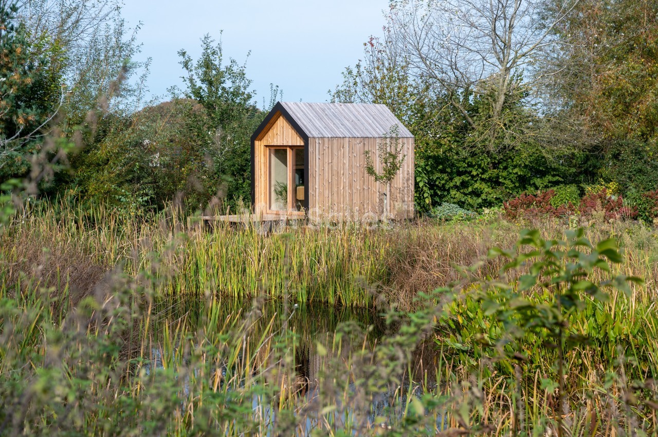 Cabane en bois au bord d'une mare, entourée de végétation et d'arbres sous un ciel clair.