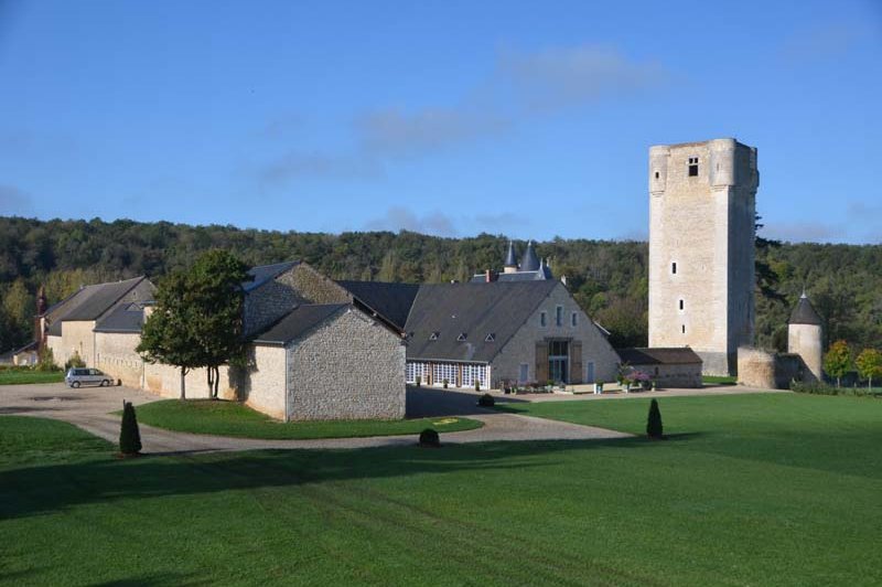 Château De Mazières - photo 2