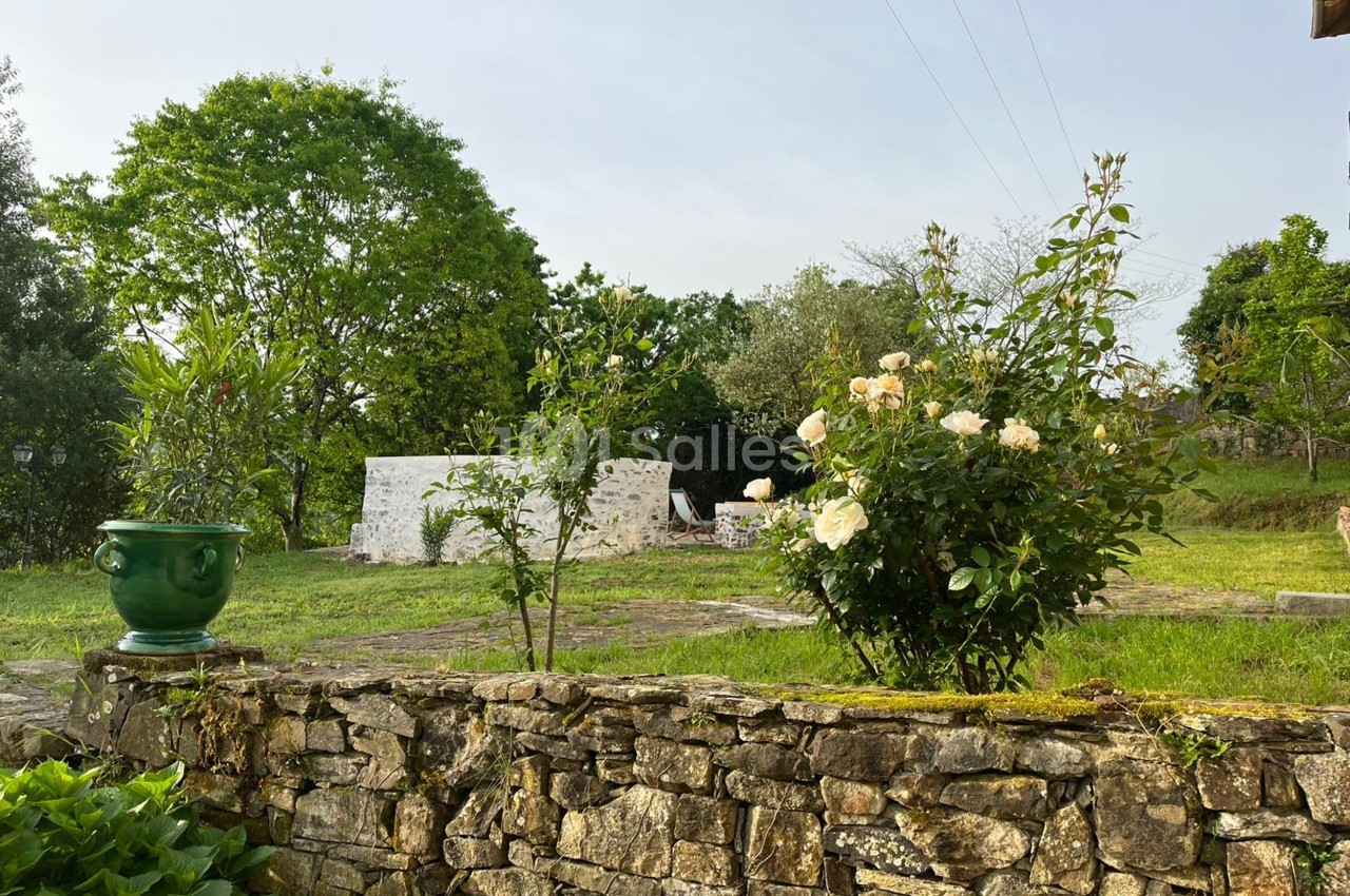 Un jardin verdoyant avec un muret en pierre, des rosiers en fleurs et des arbres en arrière-plan.