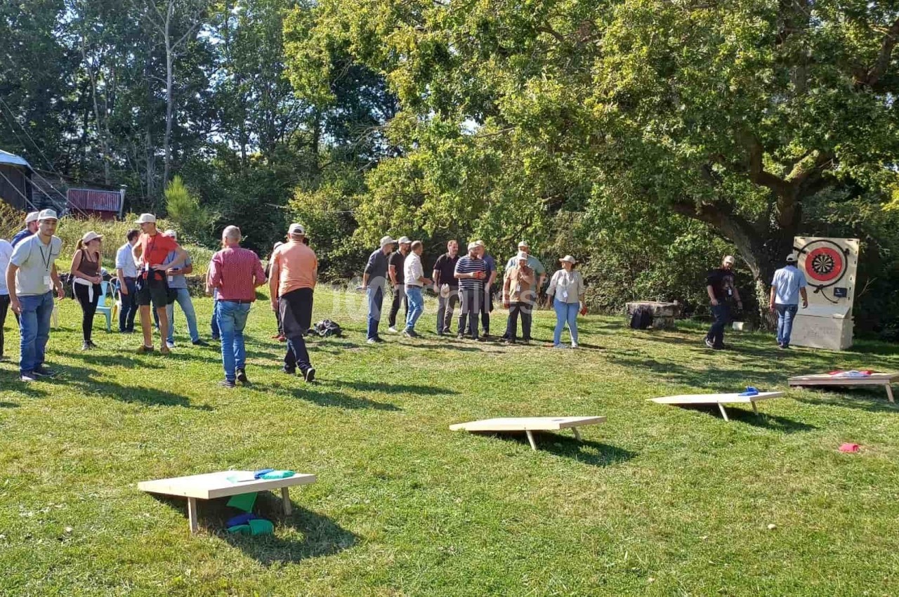 Des personnes participent à des activités de plein air sur une pelouse, avec des cibles et des jeux installés.