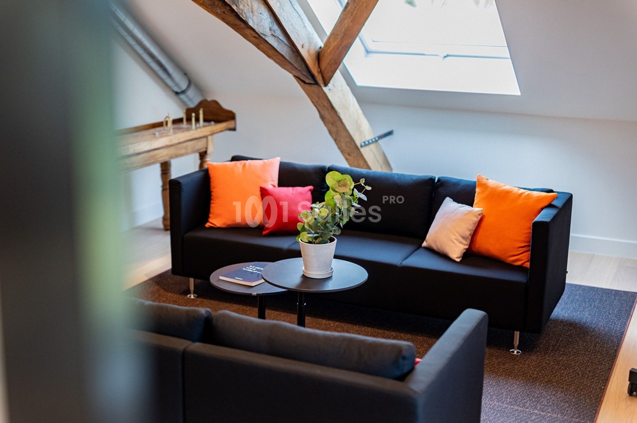 Canapé noir avec coussins colorés, table basse avec plante verte, sous une fenêtre de toit dans un espace lumineux.