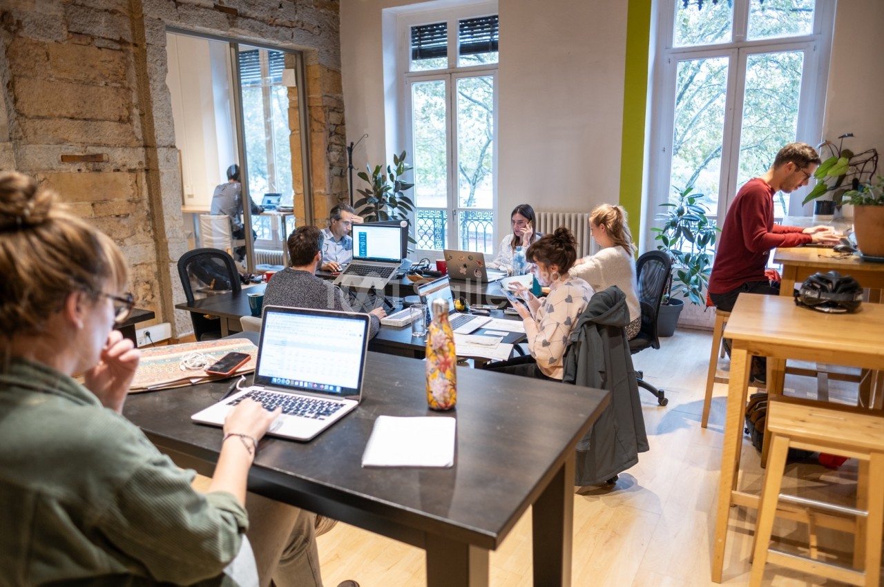Personnes travaillant sur des ordinateurs dans un espace de coworking lumineux avec des plantes et de grandes fenêtres.