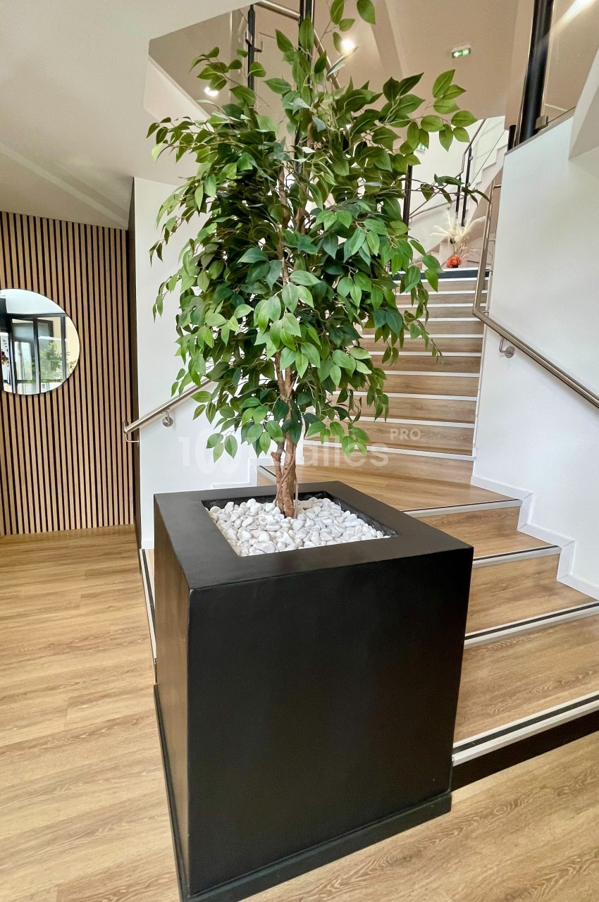 Plante verte en pot noir avec des galets blancs, placée près d'un escalier en bois dans un espace intérieur lumineux.
