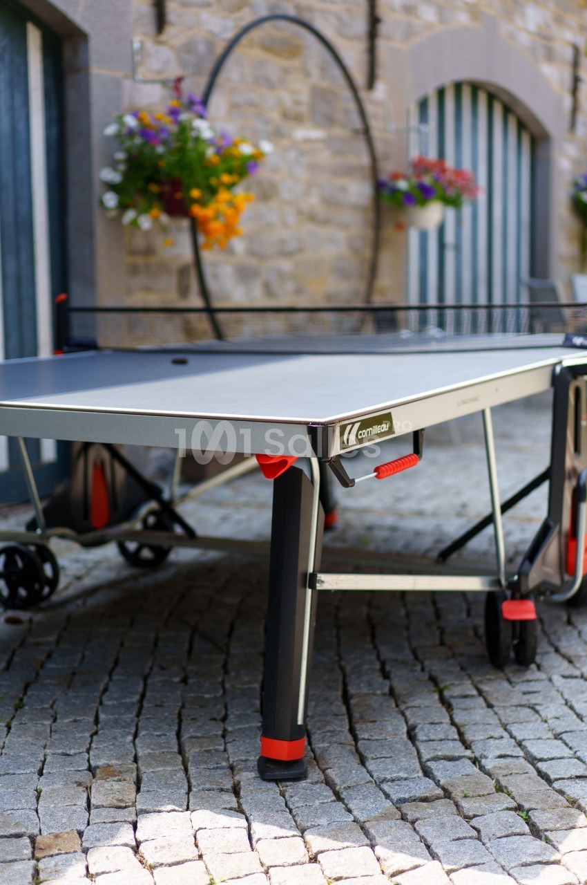 Table de ping-pong extérieure sur une terrasse pavée, avec des fleurs suspendues en arrière-plan.