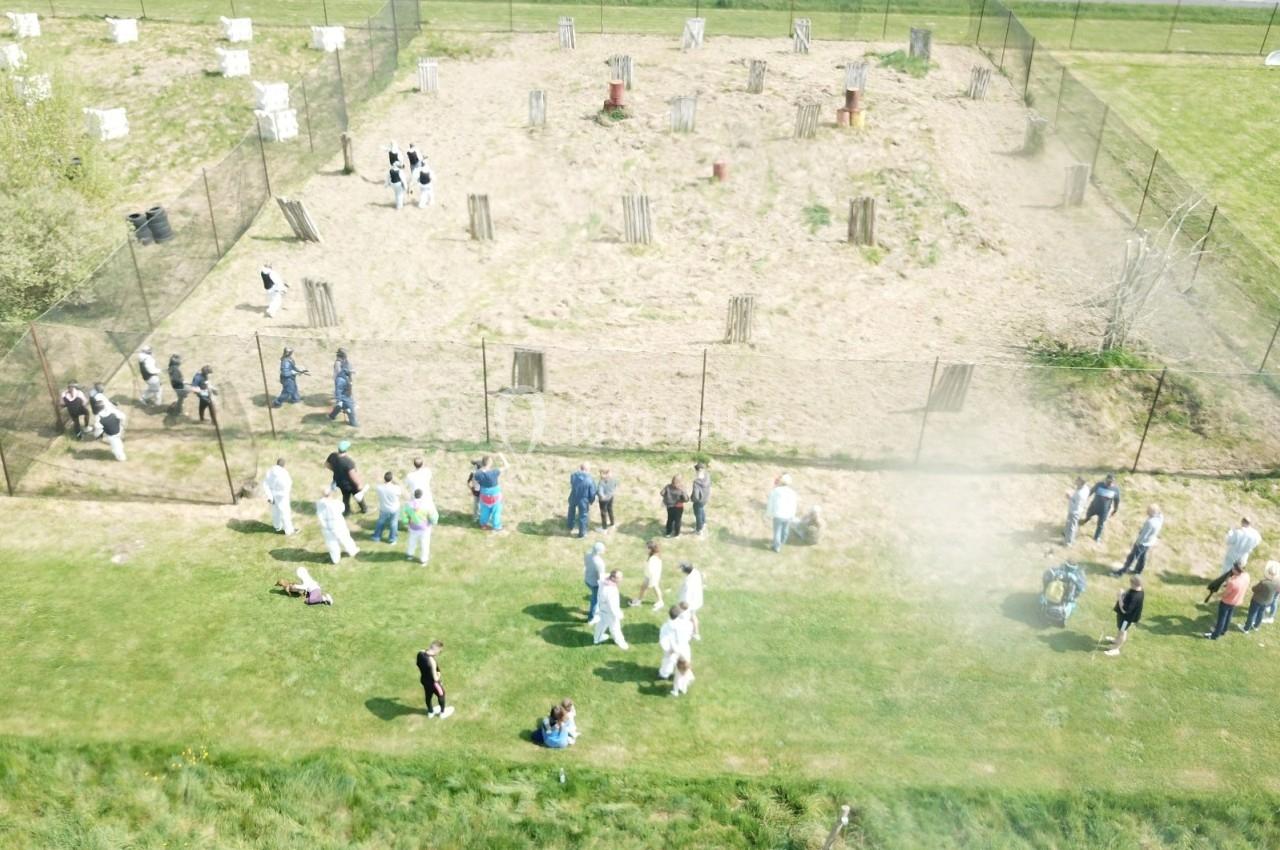 Des personnes observent des vaches dans un enclos clôturé, entouré de verdure et d'une route en arrière-plan.