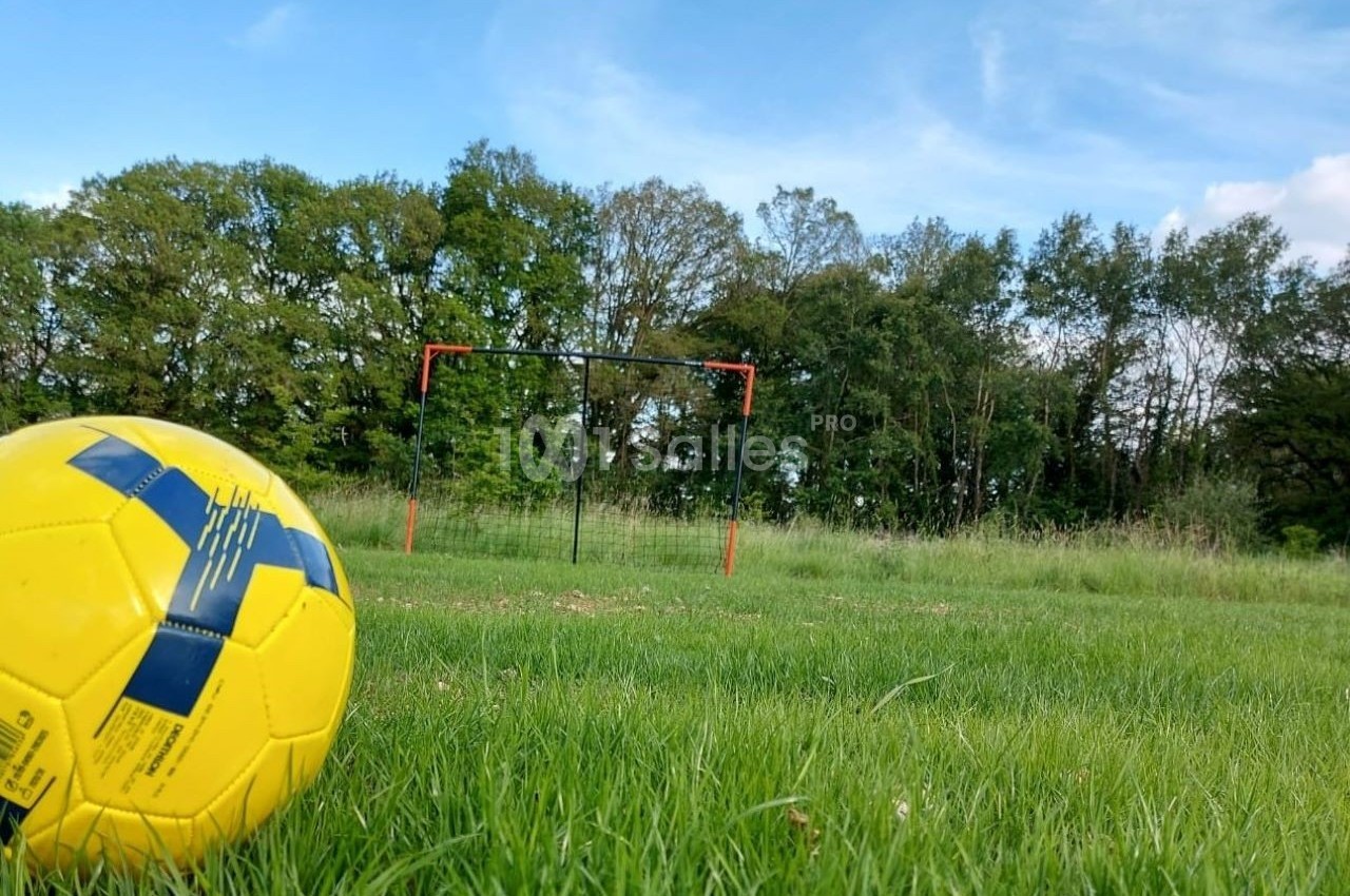 Ballon de football jaune posé sur une pelouse verte, avec un but de football et des arbres en arrière-plan.