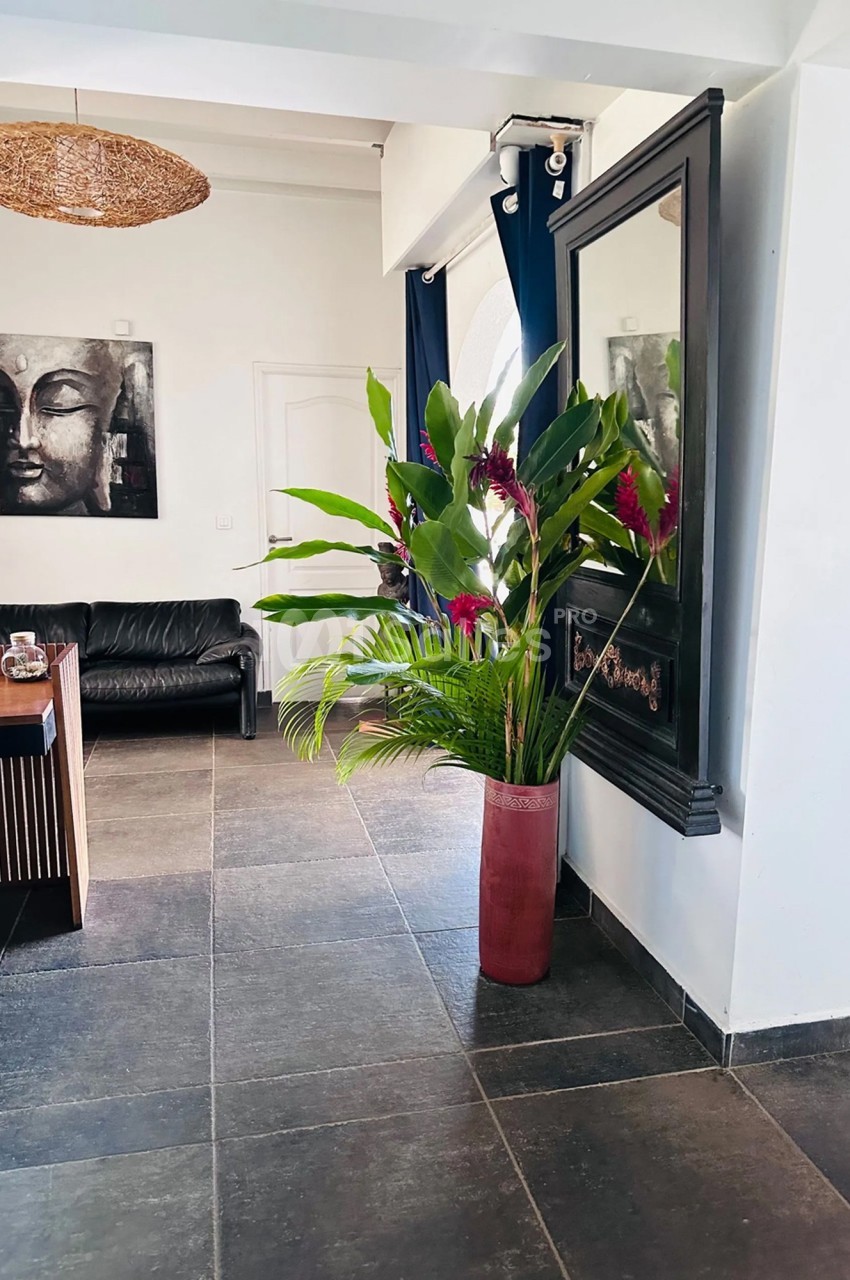 Plante tropicale dans un vase rouge décorant un salon moderne avec canapé noir, tableau et miroir encadré.