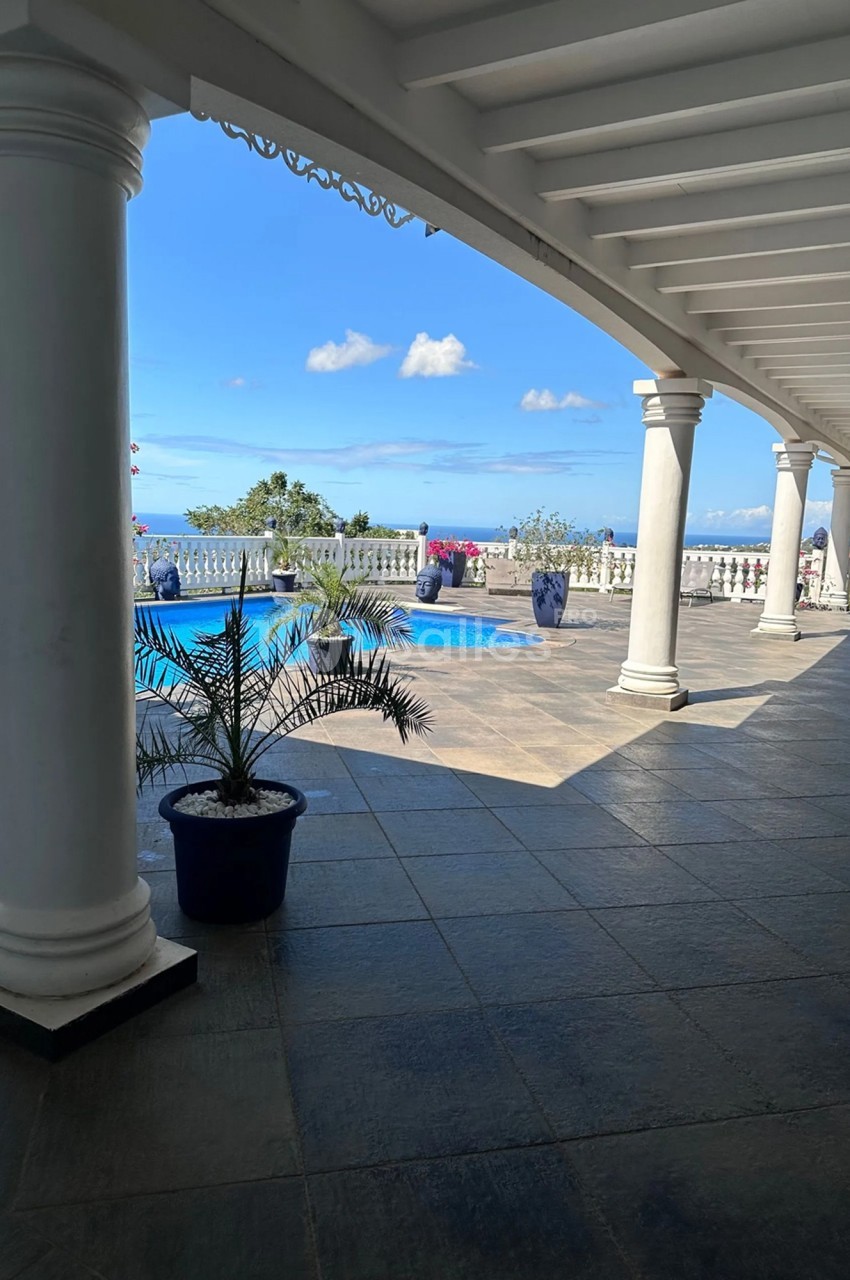 Terrasse avec colonnes blanches, vue sur une piscine, des plantes en pots et un paysage marin sous un ciel bleu.
