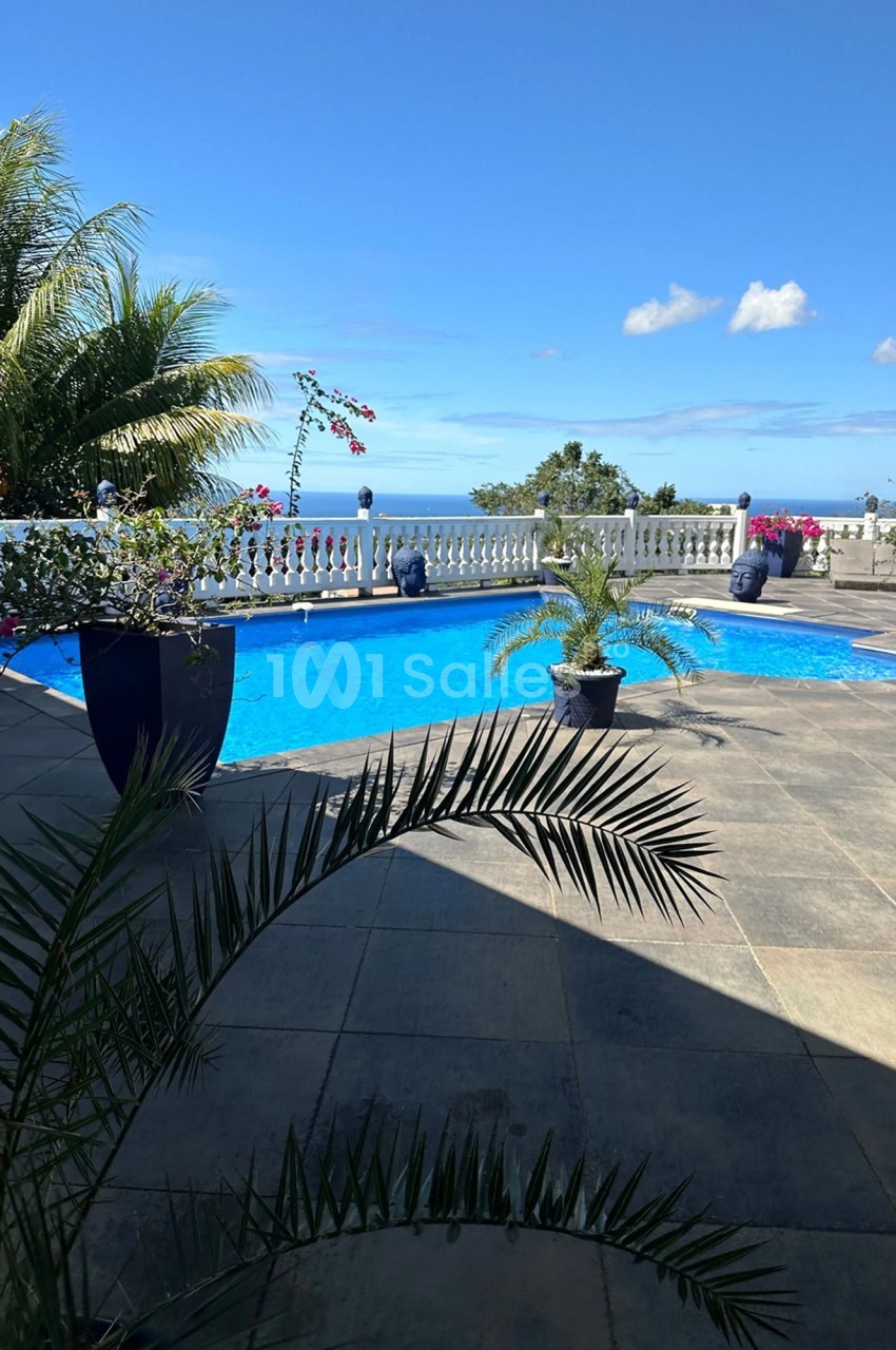 Piscine extérieure entourée de plantes, avec vue sur la mer et un ciel bleu dégagé en arrière-plan.