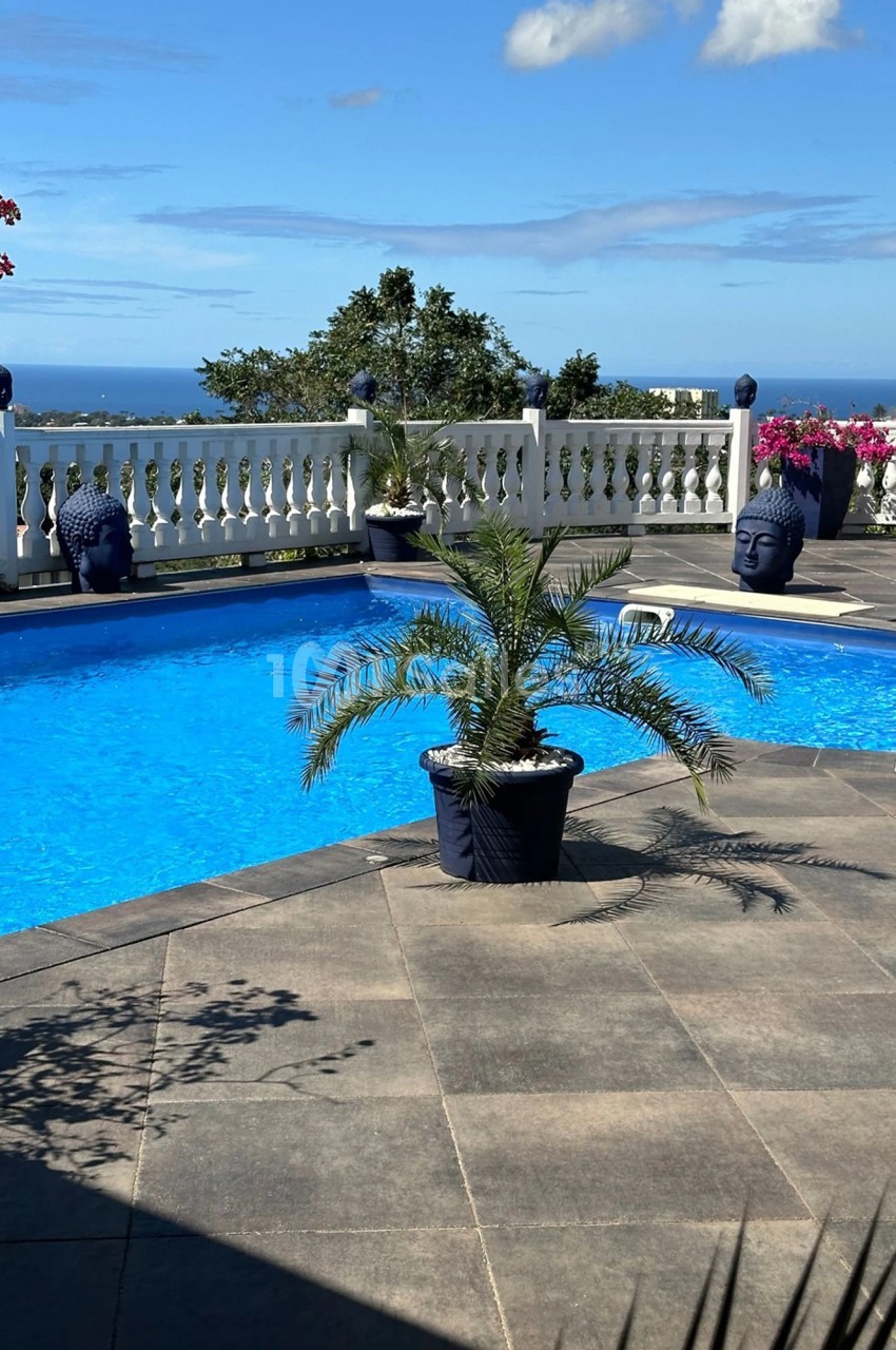 Piscine extérieure entourée de dalles grises, avec une petite plante en pot et vue sur la mer à l'horizon.