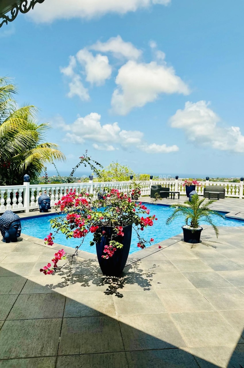 Piscine extérieure entourée de plantes en pot, avec vue sur un paysage tropical et un ciel dégagé.
