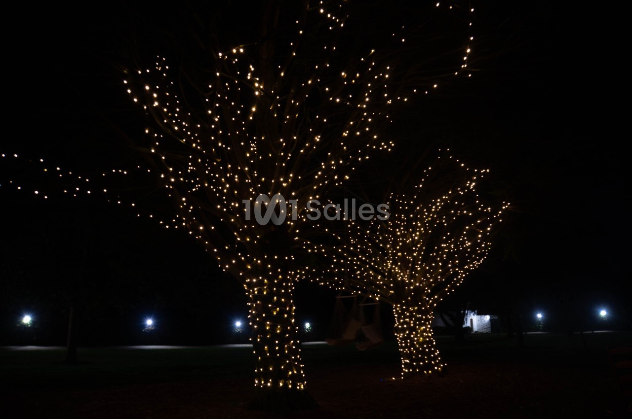 Domaine Nantais - galerie - photo 13