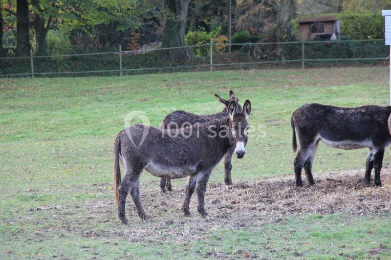 Le Clos Normand - galerie - photo 15