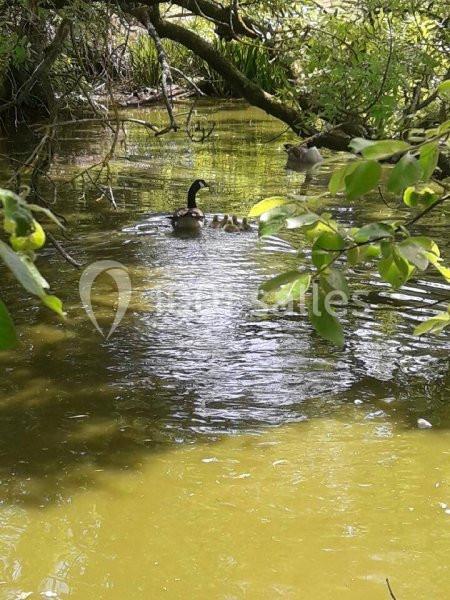 Le Clos Normand - galerie - photo 18