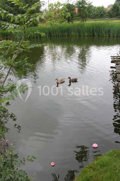 Le Clos Normand - galerie - photo 11