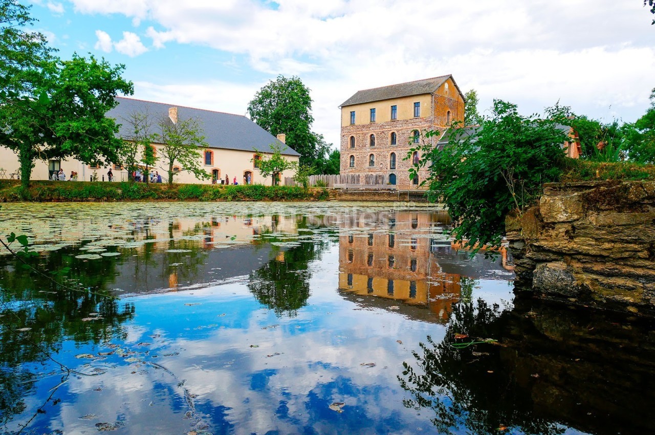 Vue d'un étang avec des nénuphars reflétant un bâtiment en briques et un autre en pierre, entourés de végétation.