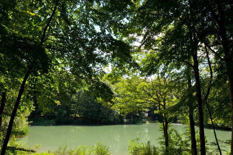Pavillon de Gouffern - photo 5