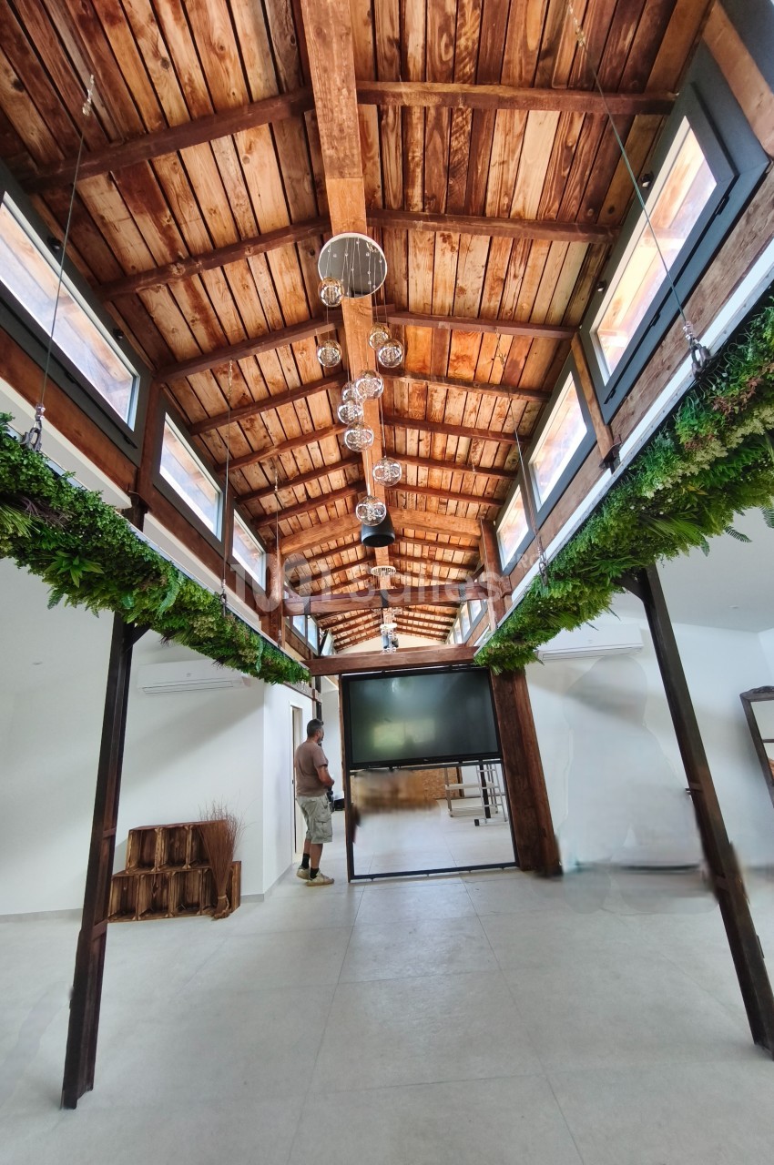 Plafond en bois avec poutres apparentes, rangées de plantes suspendues et un écran au centre d'une pièce lumineuse.