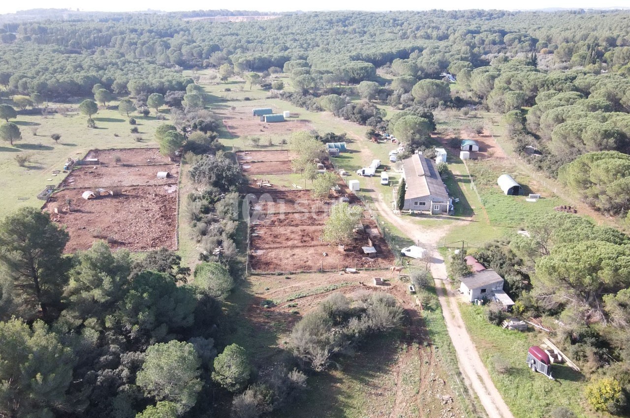 Vue aérienne d'une ferme avec plusieurs enclos, bâtiments agricoles et une forêt en arrière-plan.
