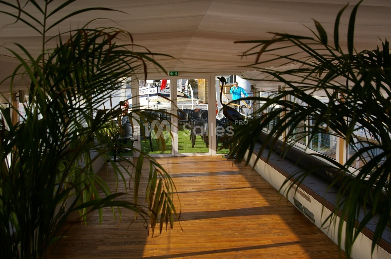 Vue d'un couloir lumineux avec un sol en bois, bordé de plantes vertes et menant à une porte vitrée donnant sur l'extérieur.