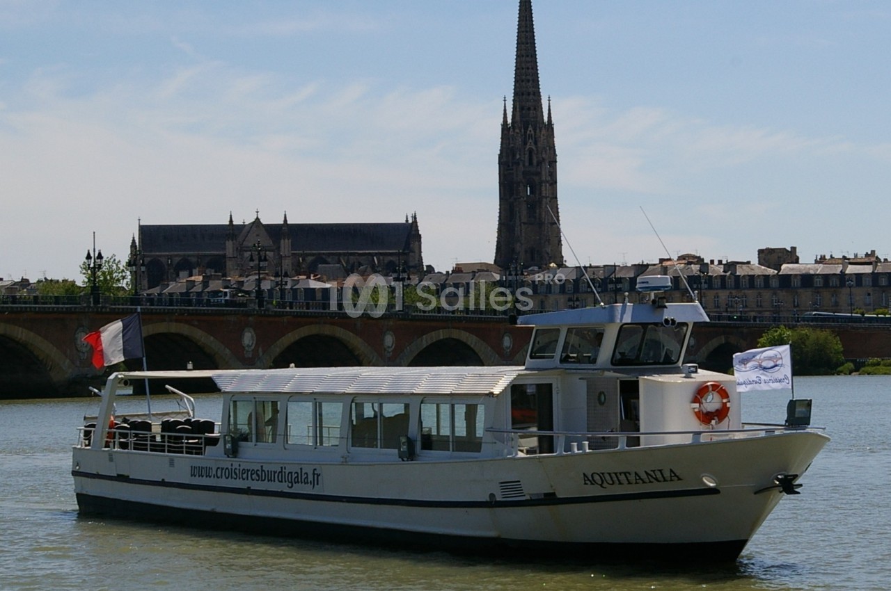 Bateau de croisière fluvial naviguant sur une rivière, avec un pont et une église en arrière-plan.