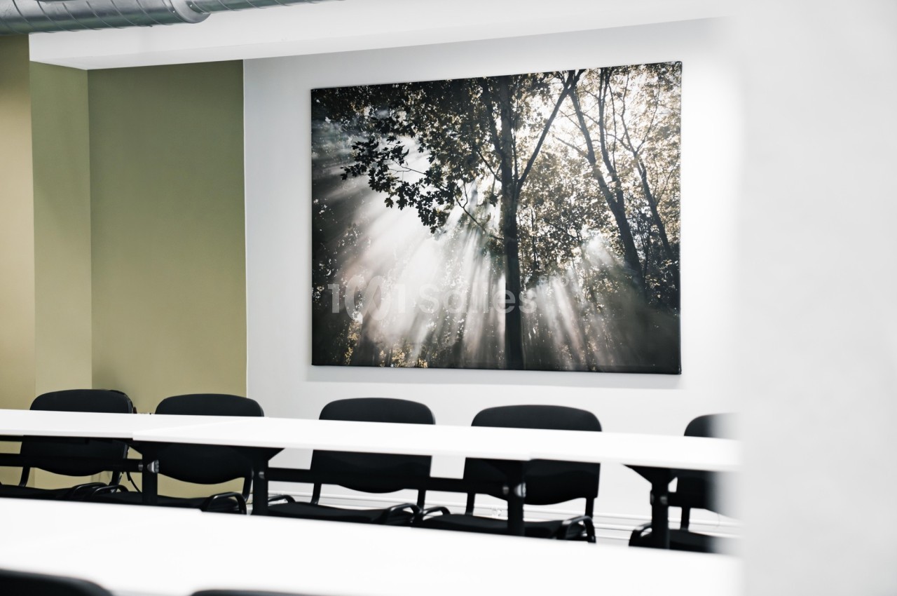 Salle de réunion avec des chaises noires et un tableau mural représentant des rayons de soleil à travers des arbres.