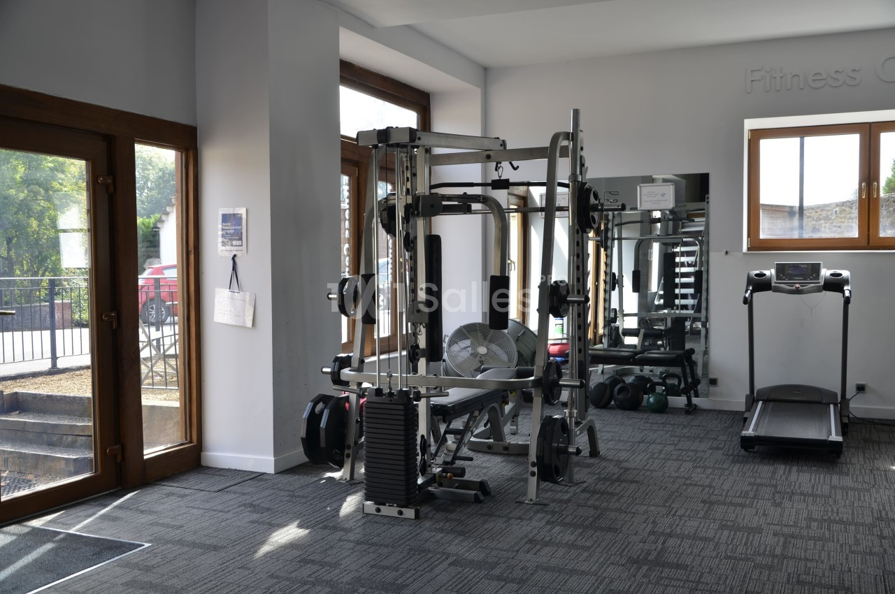 Salle de sport avec machine de musculation, tapis de course, miroirs et fenêtres laissant entrer la lumière naturelle.