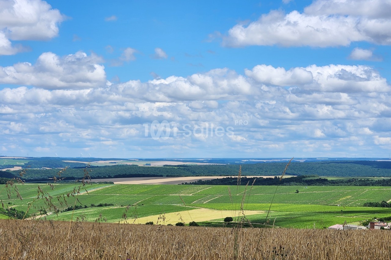 Paysage rural avec champs verdoyants, forêt à l'horizon et ciel bleu parsemé de nuages.