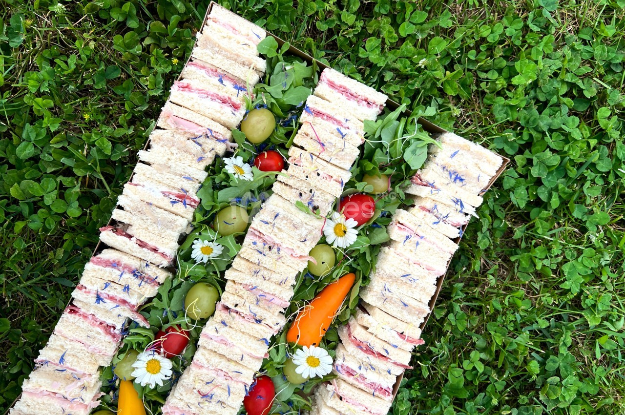 Plateau de sandwichs garnis de crudités, fleurs comestibles et olives, disposé sur une pelouse verte.