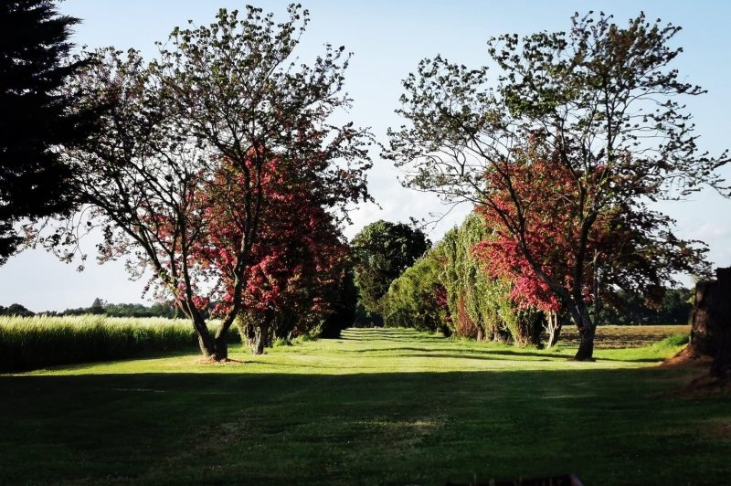 Domaine des Crançons - photo 4