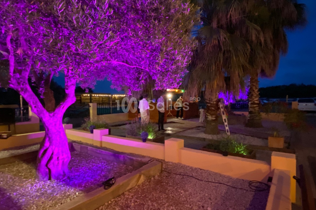 Un jardin éclairé de lumières violettes avec un olivier au premier plan et des palmiers en arrière-plan.