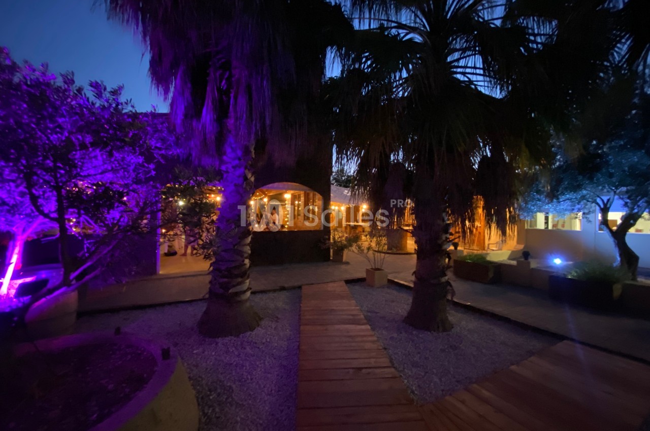 Allée en bois bordée de palmiers et éclairée par des lumières colorées dans un jardin nocturne.